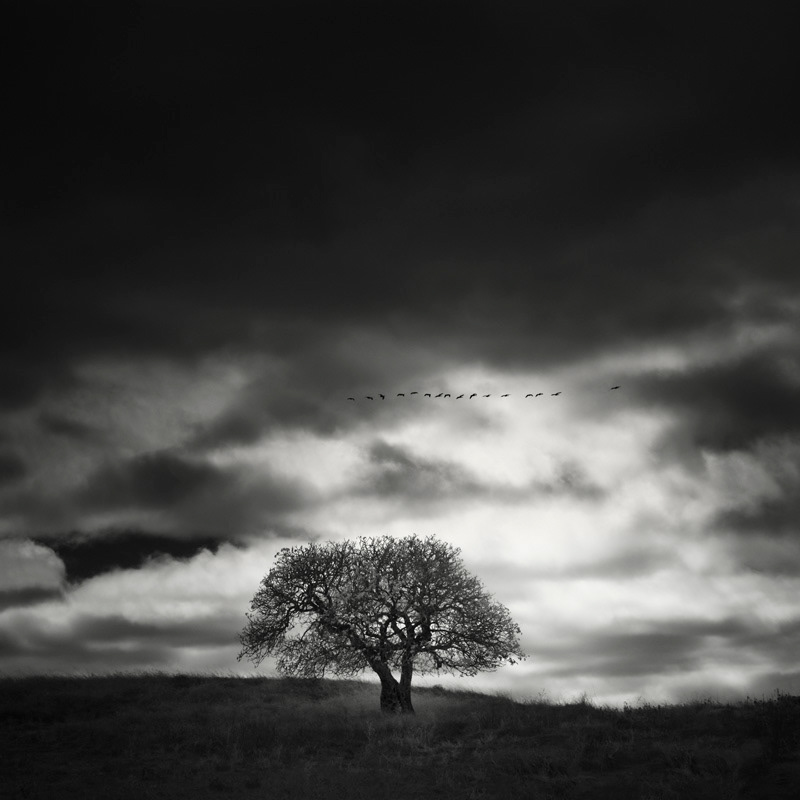 Infrared Silence: Stunning Fine Art Landscapes By Nathan Wirth