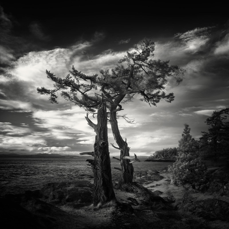 Infrared Silence: Stunning Fine Art Landscapes By Nathan Wirth