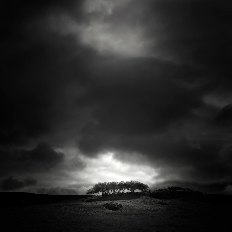 Infrared Silence: Stunning Fine Art Landscapes By Nathan Wirth