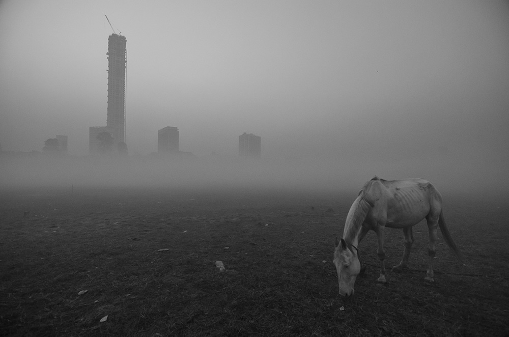 Solitude: Photo Series By Debarshi Banerjee