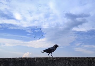 Breath In Quarantine - A Monologue By Siddhartha Paul