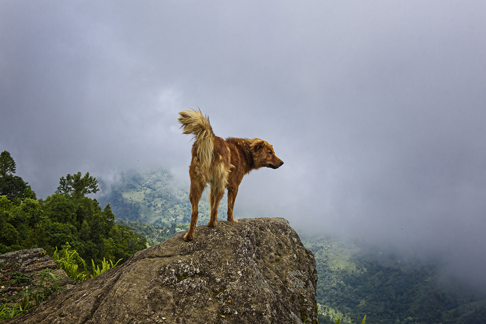 Breaking Through The Lockdown By Pinki Biswas Sanyal