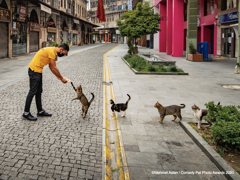 Social-distance-meal-order by Mehmet Aslan