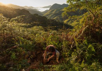 Meet The Forest Growers Of Mata Atlântica By Renato Stockler