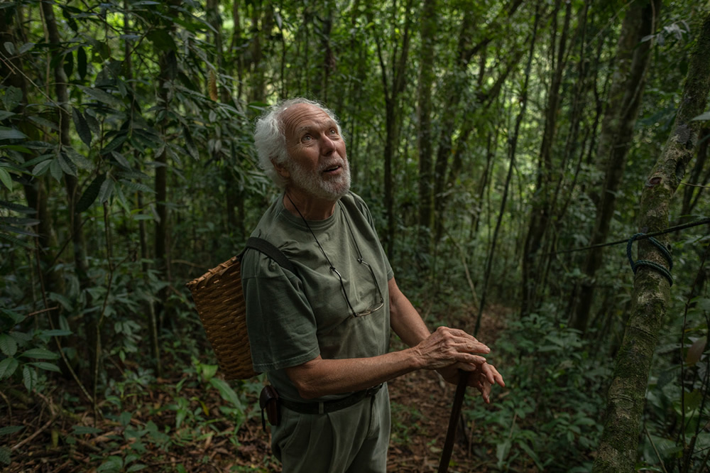 Forest Growers Of Mata Atlântica By Renato Stockler