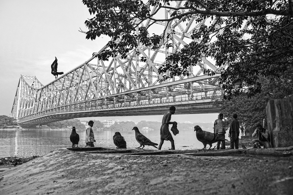 An In-Depth Walking Tour Of India's Famous Mullick Ghat By Md. Sharif Uddin