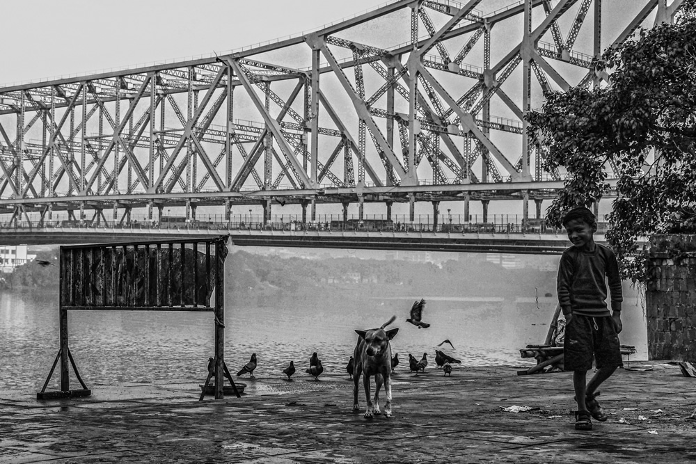 An In-Depth Walking Tour Of India's Famous Mullick Ghat By Md. Sharif Uddin