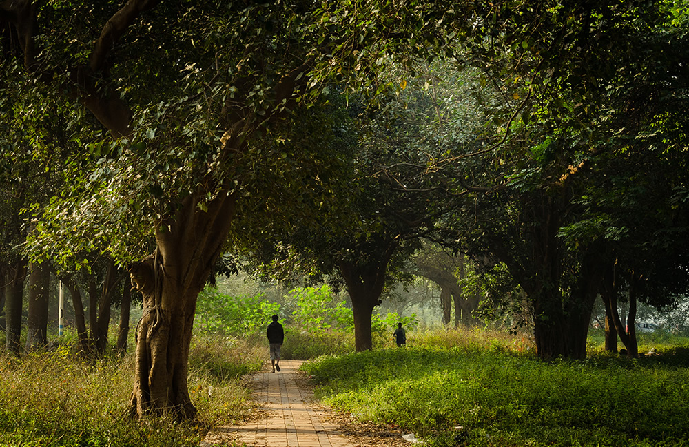 The Lungs Of Kolkata: Photo Series By Pritam Sen