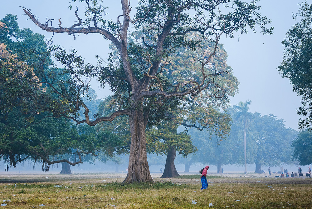 The Lungs Of Kolkata: Photo Series By Pritam Sen