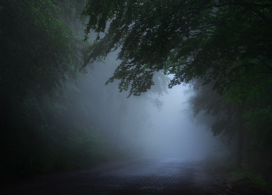The Misty Road To Heaven, Vitosha Mountain, Bulgaria