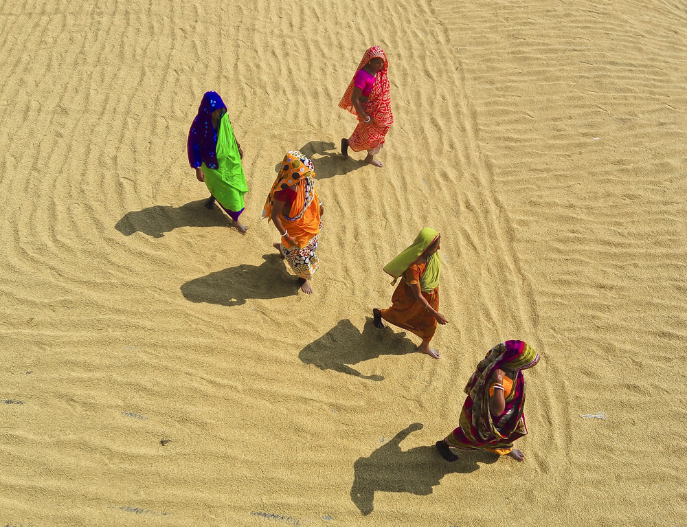 Paddy Grain Drying Process Of Village People By Ehsanul Siddiq Aranya