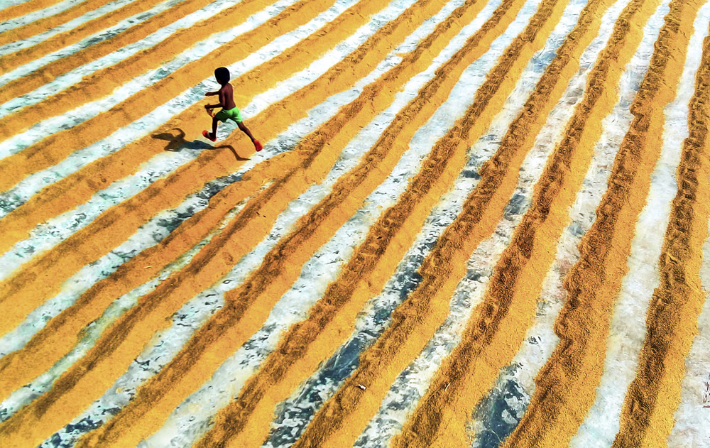 Paddy Grain Drying Process Of Village People By Ehsanul Siddiq Aranya