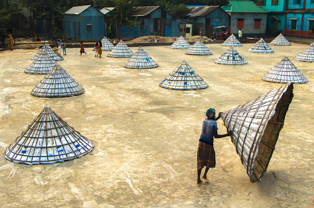 Paddy Grain Drying Process Of Village People By Ehsanul Siddiq Aranya