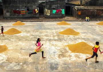 Paddy Grain Drying Process Of Village People By Ehsanul Siddiq Aranya