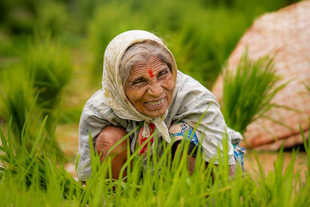Rice Farming In Konkan, Maharashtra By Krantiveer Shivaji Bhuimbar