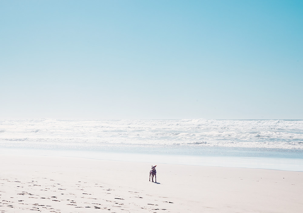 San Francisco: Colorful Minimalist Photography By David Behar