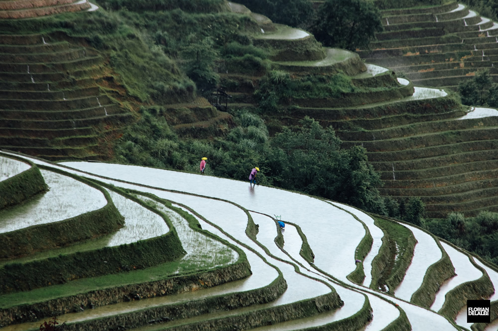 >Tiantouzhai Village - Landscape Terrace Series by Florian Delalee
