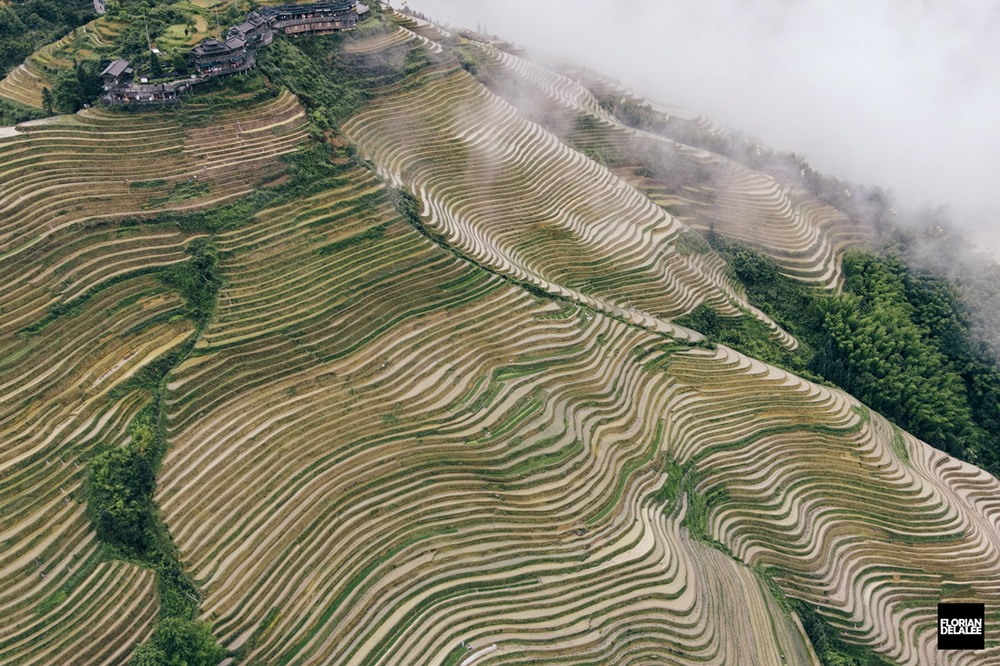 Tiantouzhai Village - Landscape Terrace Series by Florian Delalee