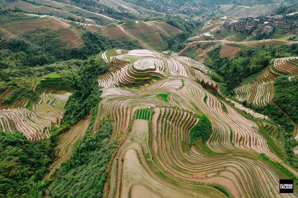 Tiantouzhai Village - Landscape Terrace Series by Florian Delalee