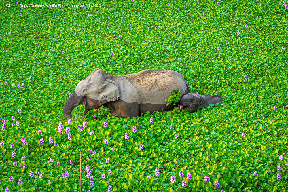 Wait up mommy look what I got for you by Kunal Gupta