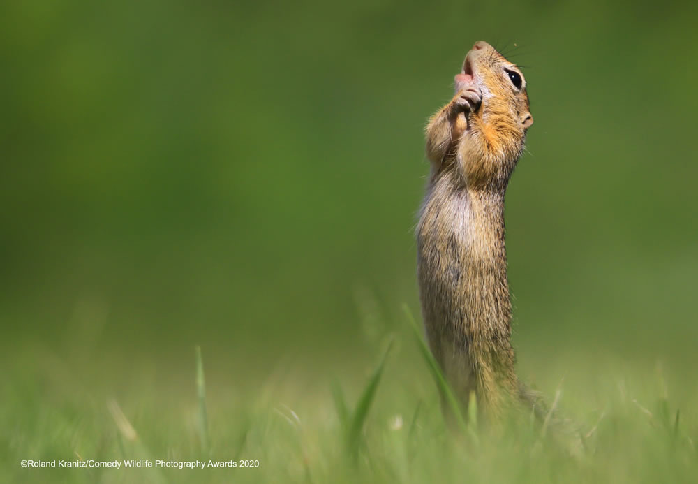 O sole mio by Roland Kranitz