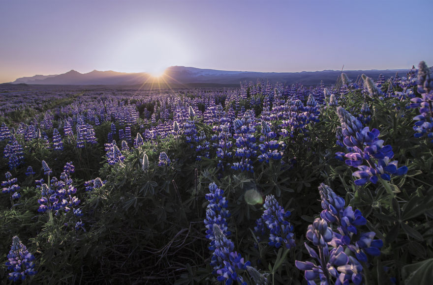 Incomparable Iceland: Beautiful Landscapes By Signe Fogelqvist