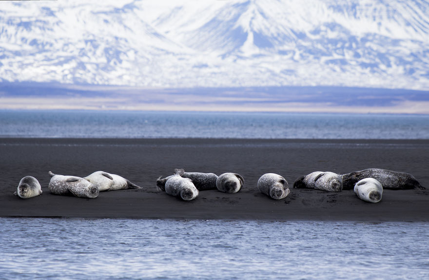 Incomparable Iceland: Beautiful Landscapes By Signe Fogelqvist