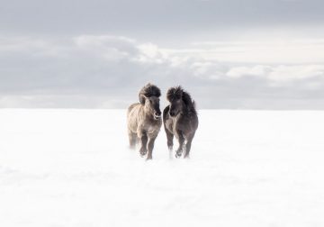 Incomparable Iceland: Beautiful Landscapes By Signe Fogelqvist