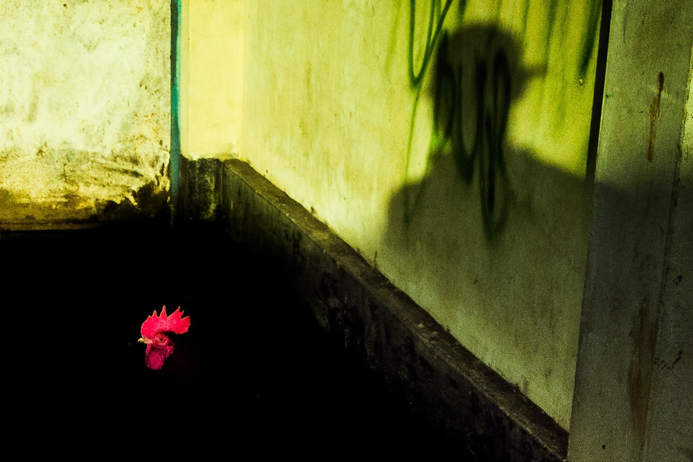 My Personal Best: Bangladeshi Photographer Kazi Muhaiminul Islam Munaj