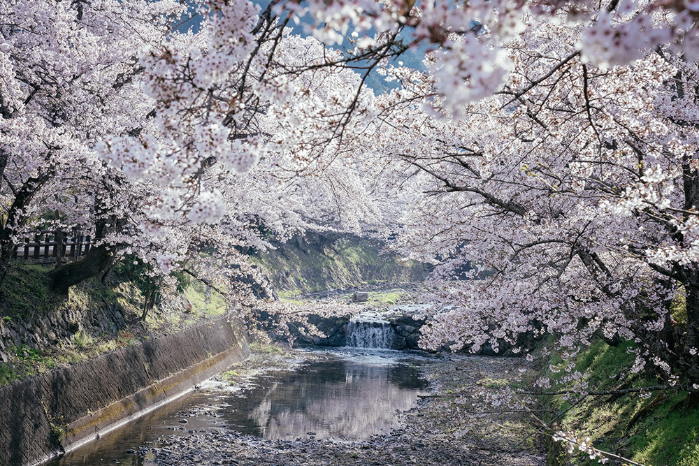 Japanese Photographer Yin Ying Beautifully Captured Four Seasons In Kyoto