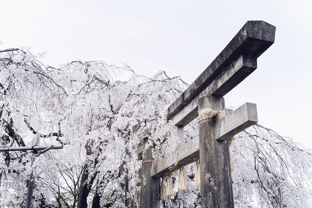 Japanese Photographer Yin Ying Beautifully Captured Four Seasons In Kyoto