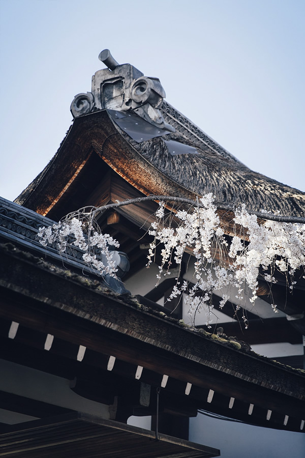 Japanese Photographer Yin Ying Beautifully Captured Four Seasons In Kyoto