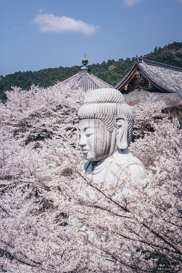 Japanese Photographer Yin Ying Beautifully Captured Four Seasons In Kyoto