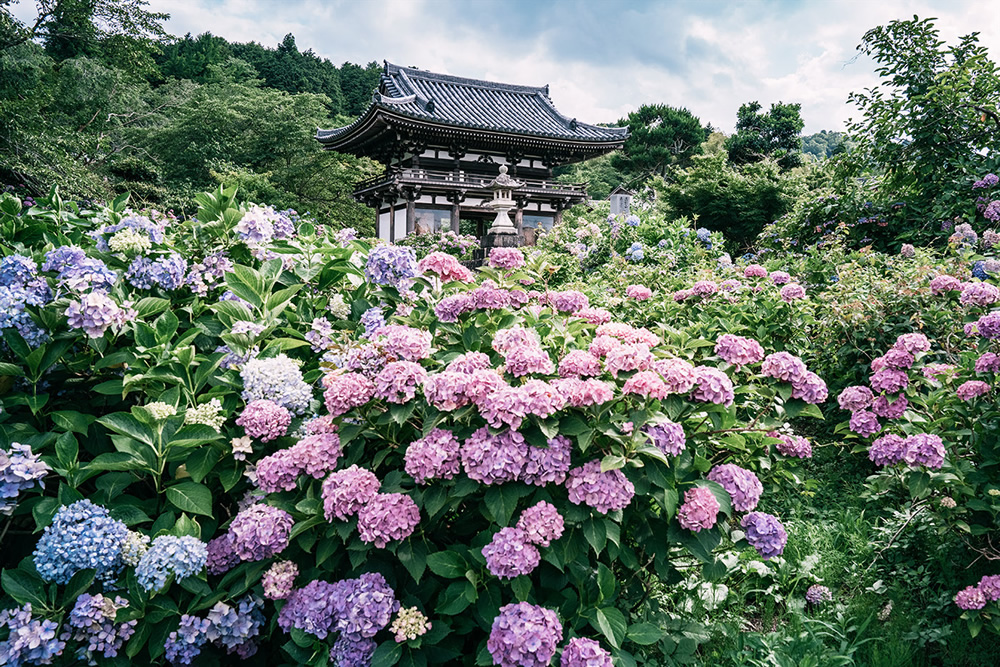 Japanese Photographer Yin Ying Beautifully Captured Four Seasons In Kyoto