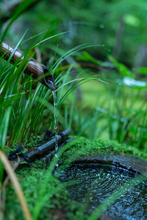 Japanese Photographer Yin Ying Beautifully Captured Four Seasons In Kyoto