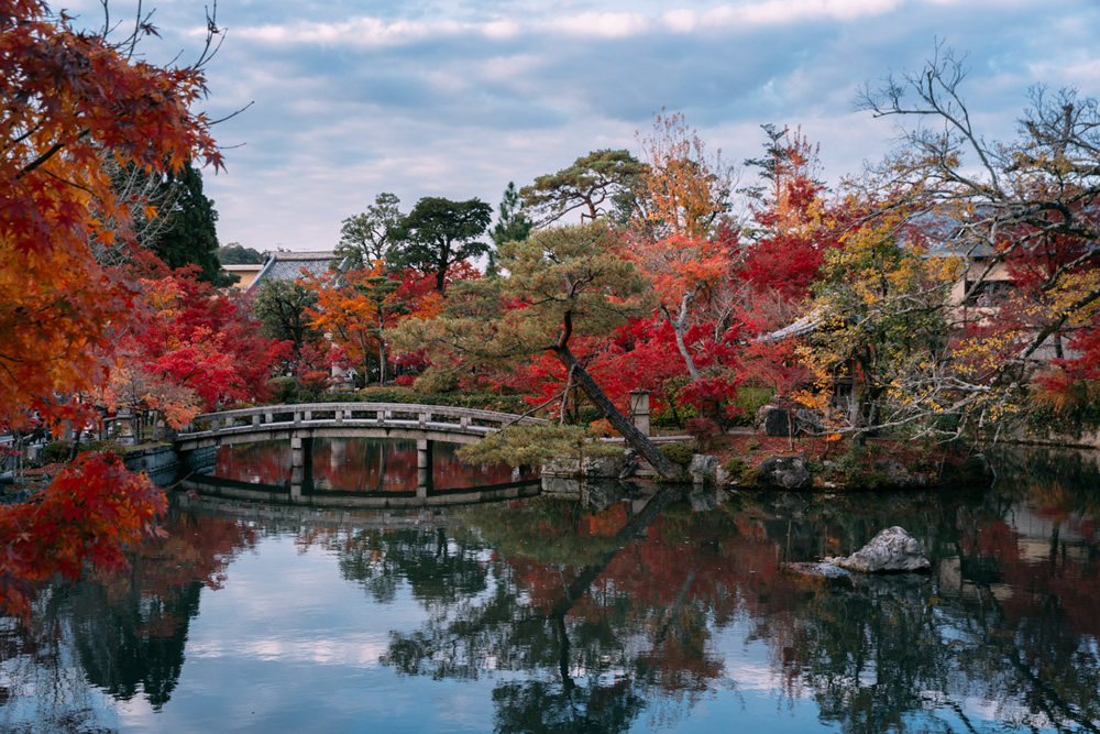 Japanese Photographer Yin Ying Beautifully Captured Four Seasons In Kyoto