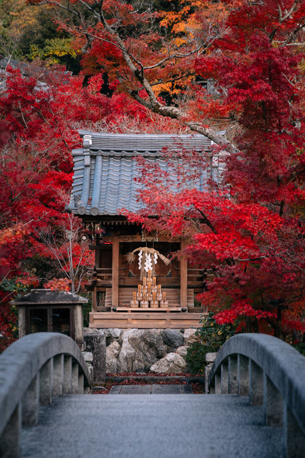 Japanese Photographer Yin Ying Beautifully Captured Four Seasons In Kyoto