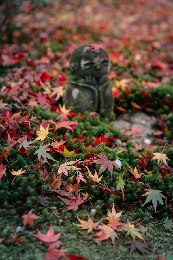 Japanese Photographer Yin Ying Beautifully Captured Four Seasons In Kyoto