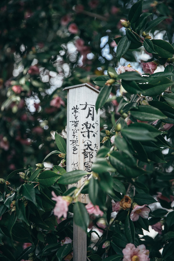 Japanese Photographer Yin Ying Beautifully Captured Four Seasons In Kyoto