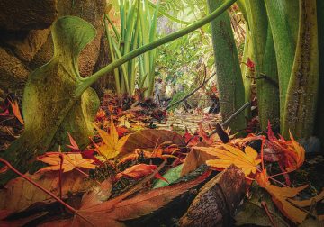 Amazing Miniature Landscape Photography By Katsuhiro Ohkuchi