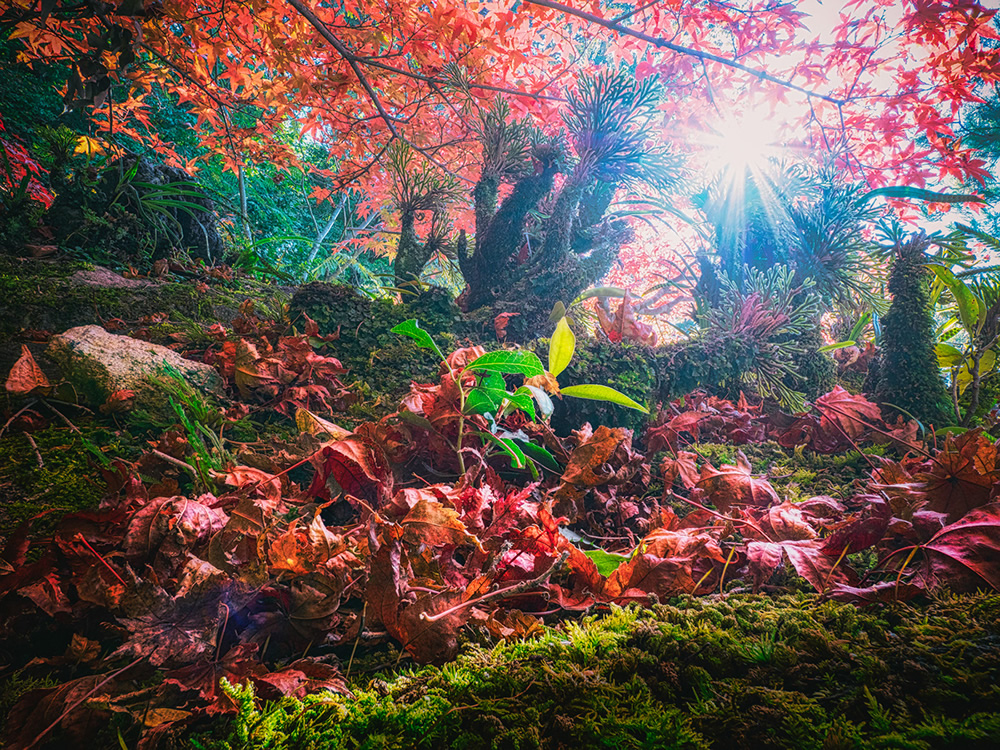 Amazing Miniature Landscape Photography By Katsuhiro Ohkuchi