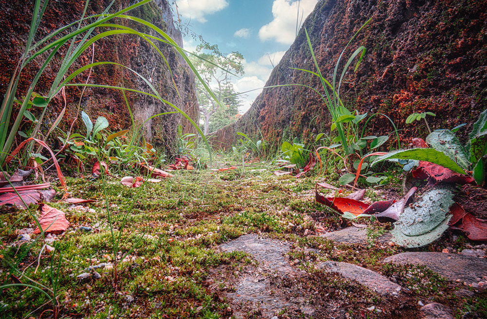 Amazing Miniature Landscape Photography By Katsuhiro Ohkuchi