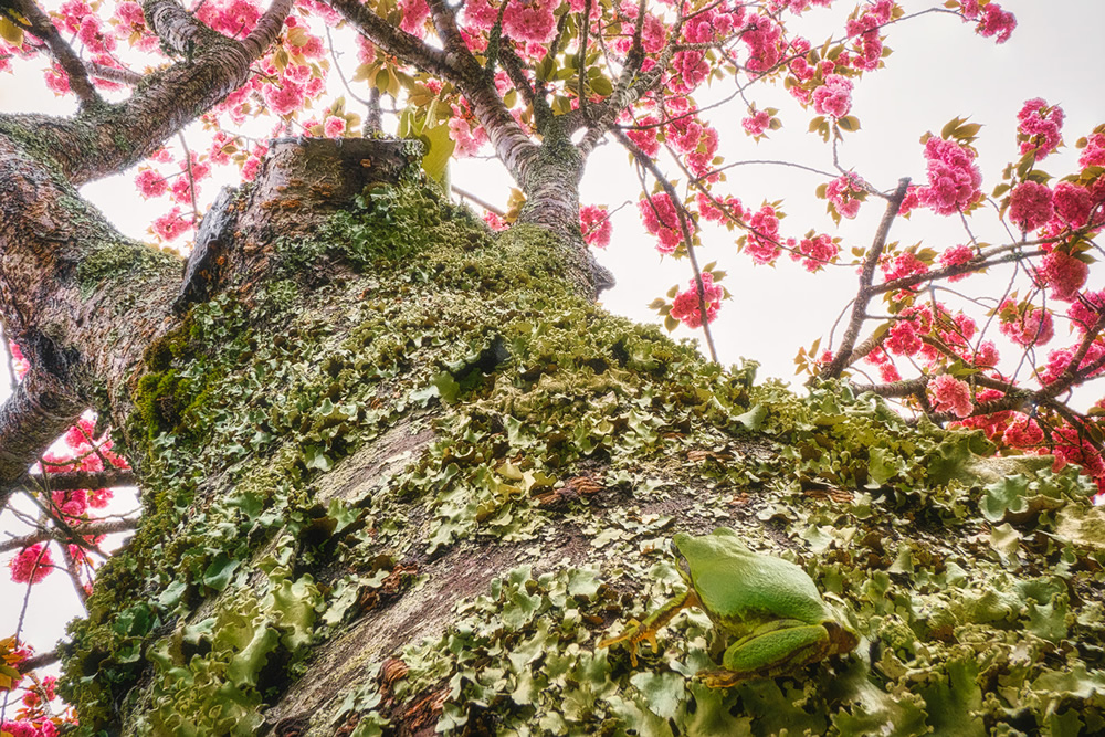 Amazing Miniature Landscape Photography By Katsuhiro Ohkuchi