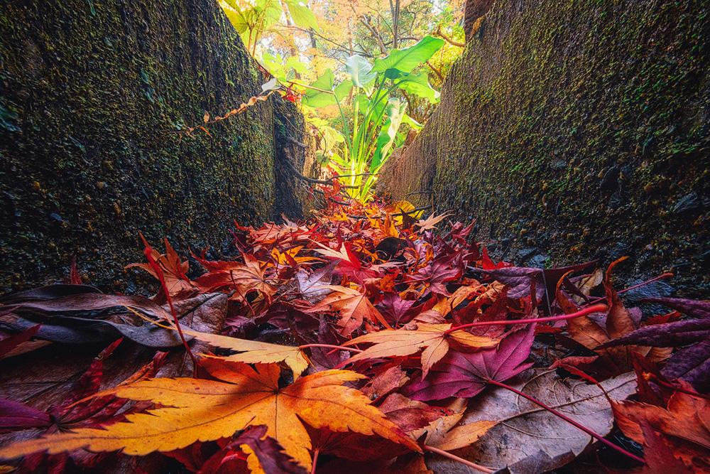 Amazing Miniature Landscape Photography By Katsuhiro Ohkuchi