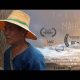 The Last Mahout: A Cinematic Short Film By Tania Esteban