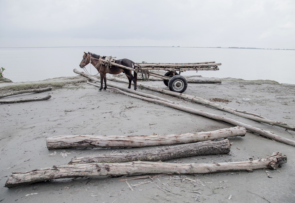 Waiting For The Last Wave: Photo Series By Moniruzzman Sazal