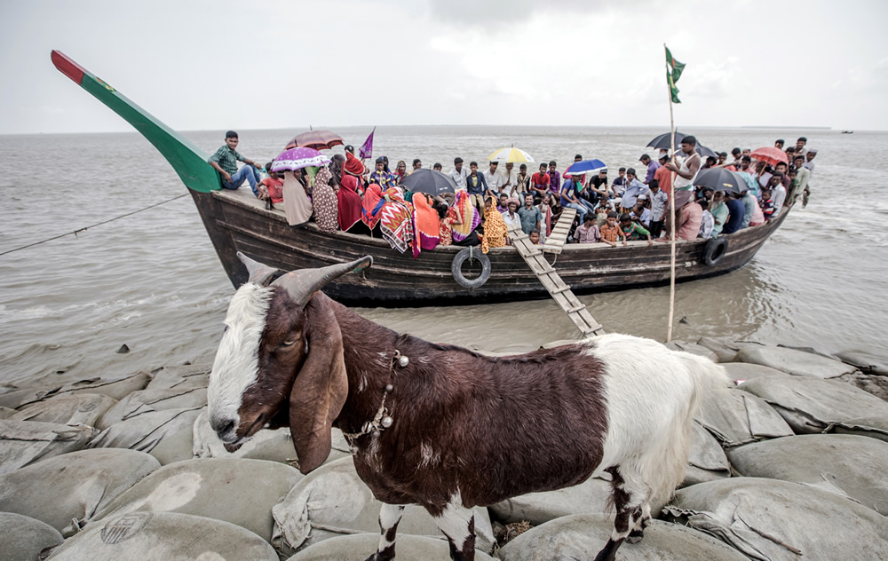 Waiting For The Last Wave: Photo Series By Moniruzzman Sazal