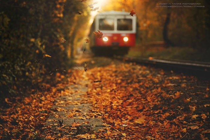 Tamas Rizsavi Beautiful Train Photographs In Exciting Places