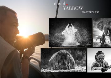 Join Master Class with David Yarrow: Inspiring Interview