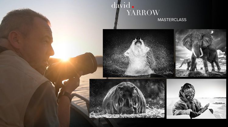 Join Master Class with David Yarrow: Inspiring Interview